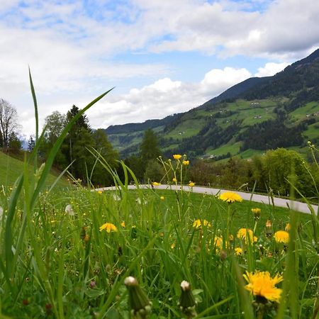 Niederstallnhof Sankt Johann im Pongau Dış mekan fotoğraf