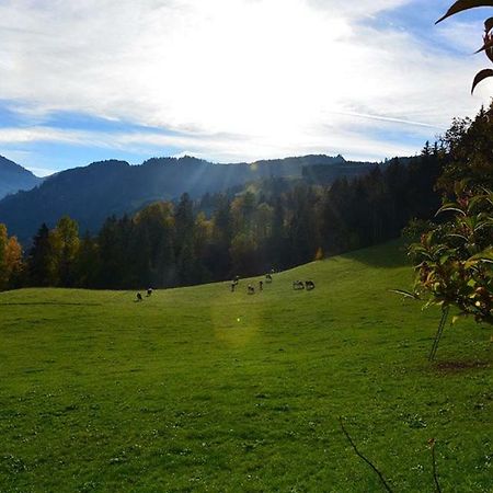 Niederstallnhof Sankt Johann im Pongau Dış mekan fotoğraf