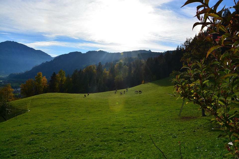 Niederstallnhof Sankt Johann im Pongau Dış mekan fotoğraf